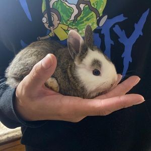 Meet your Posher, Carina